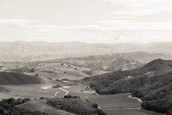Black & white photo of the landscape around Eden Rift vineyards
