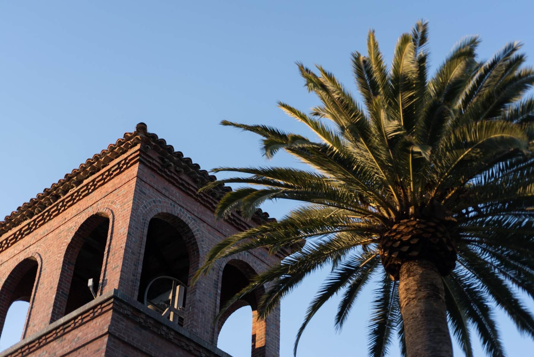 Winery Low angle view of a brick bell tower with palm tree