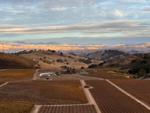 Eden Rift Winery in Hollister boasts sweeping views of the remote San Benito County hills. Photo: John McKay